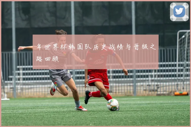 年世界杯韩国队历史战绩与晋级之路回顾